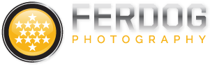 Ferdogphotos