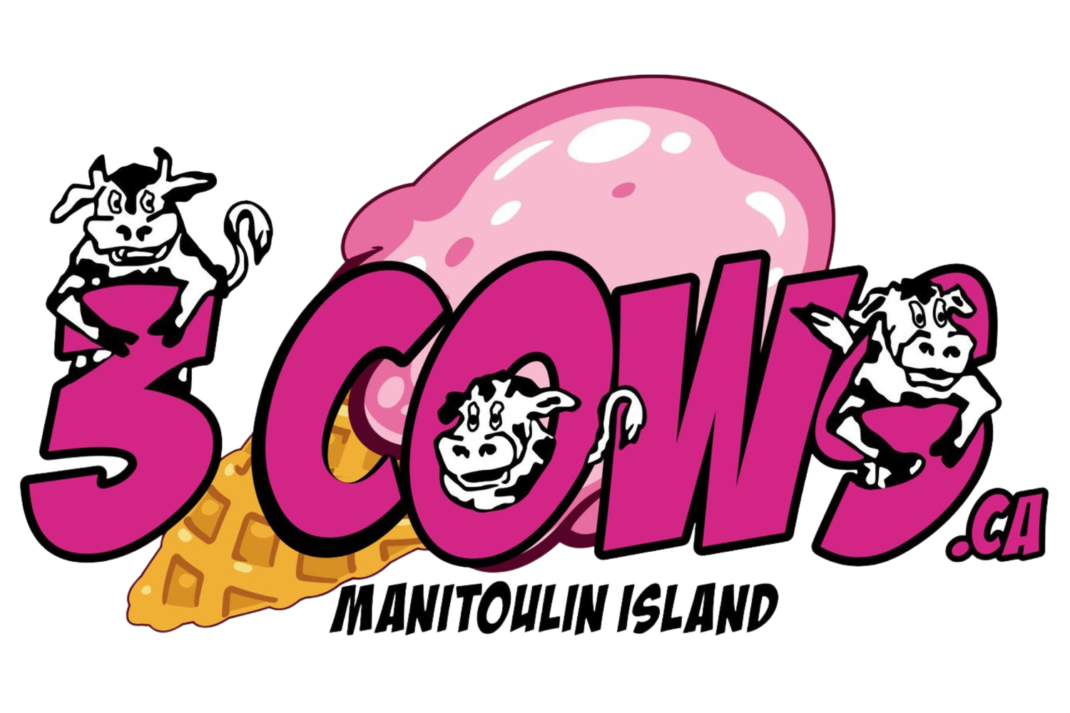 3 Cows and a Cone