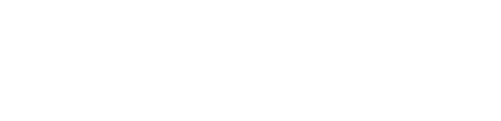 Brooklyneer