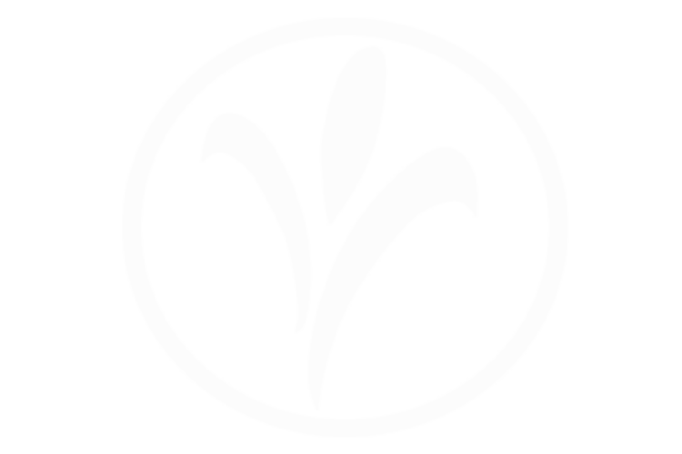 Latest Posts ROLCC latest-posts-rolcc