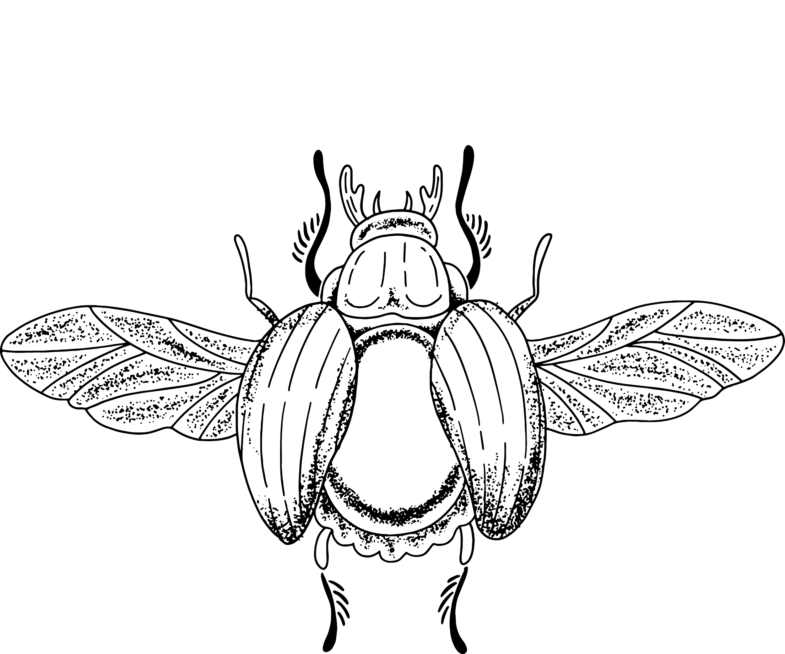 zukography