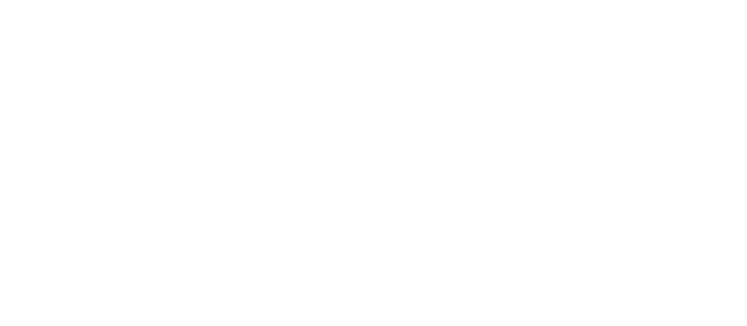 Global Health Sim