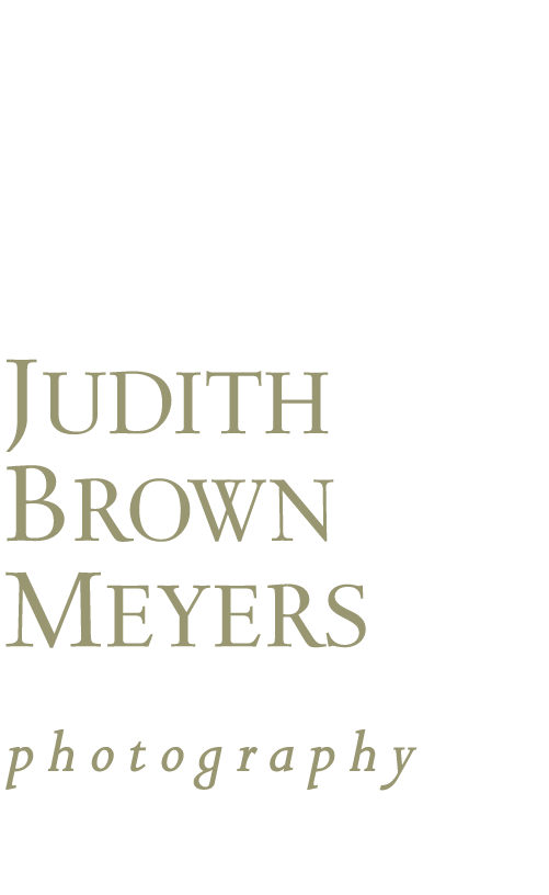 Judith Brown Meyers Photography
