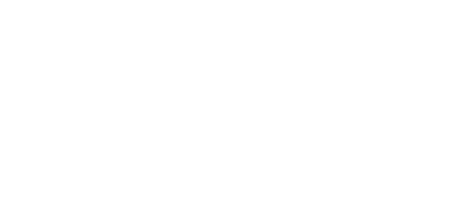 The Edison