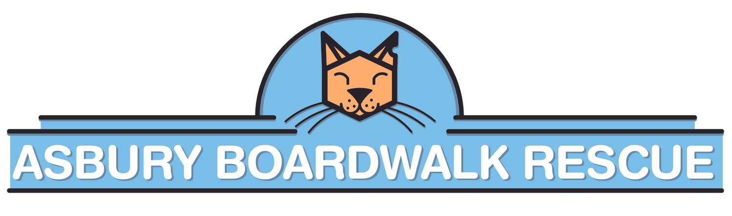 Asbury Boardwalk Rescue