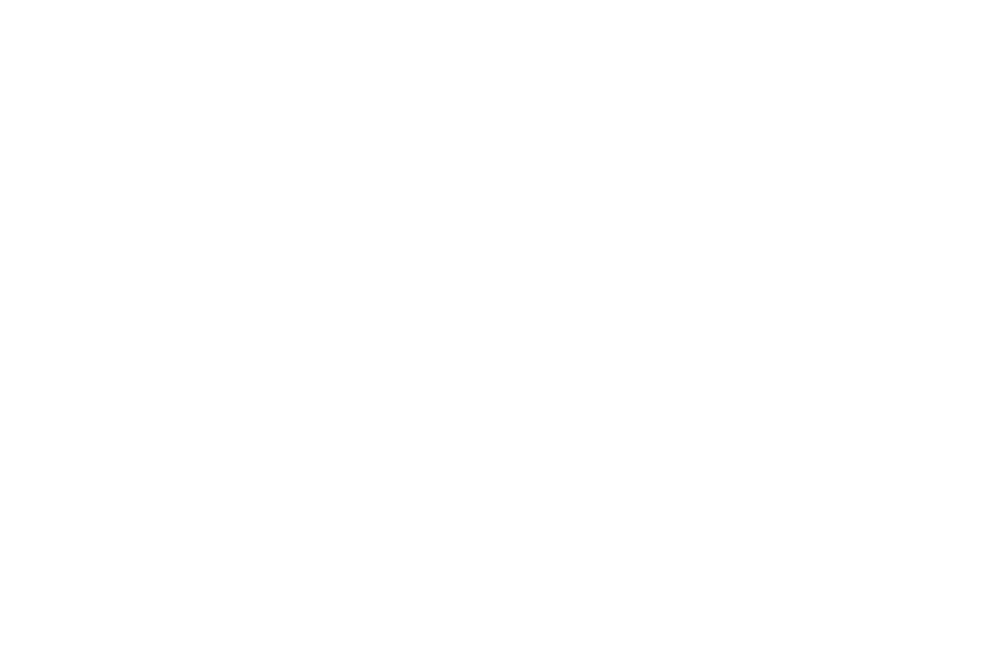 Helix Networks