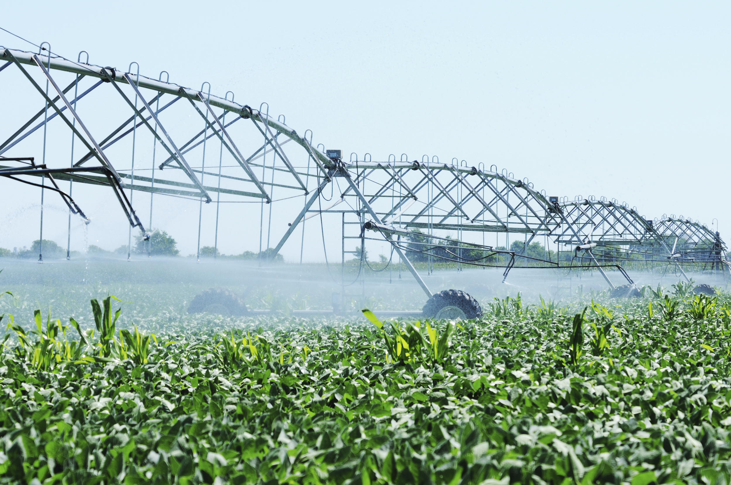 Providing turnkey agriculture solutions. From feasability studies, to farm design, to implementation and operation, American International Agriculture Group (AIAG) is your trusted partner.