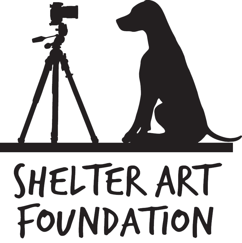 Shelter Art Foundation