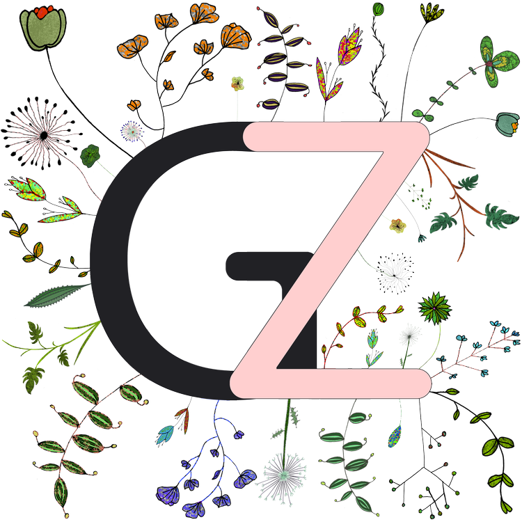 GUILLAUME ZICCARELLI 