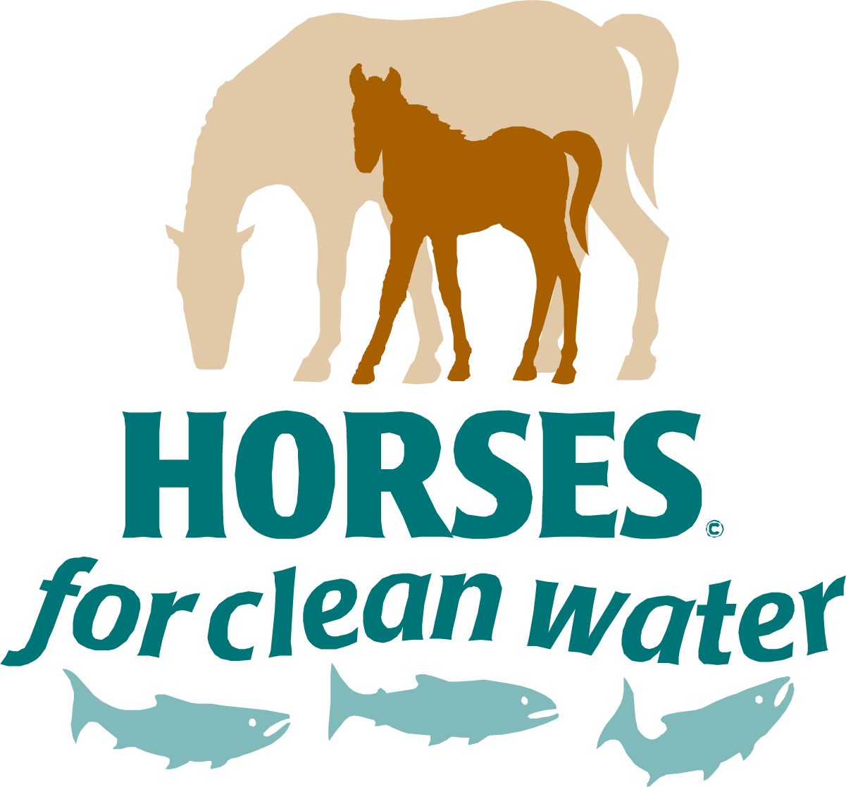 Horses for Clean Water