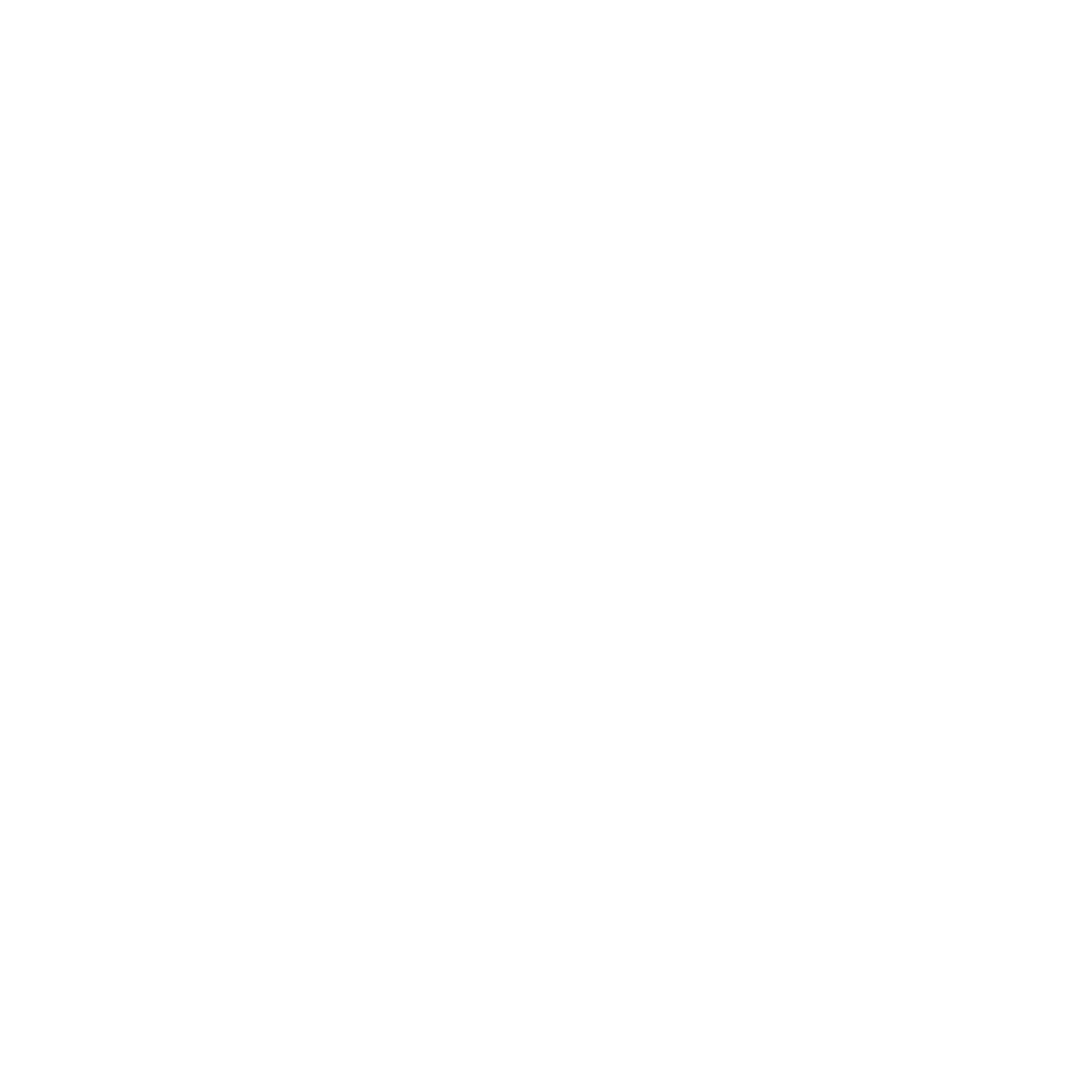 Dan Stagani Personal Training & Wellness