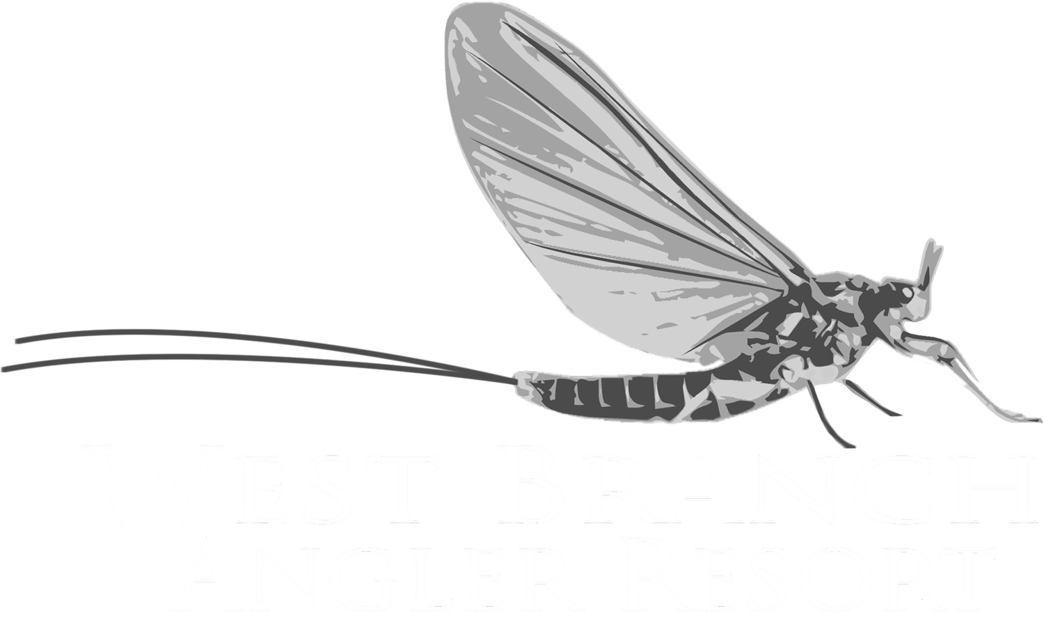 Cabin Rentals — West Branch Angler Resort