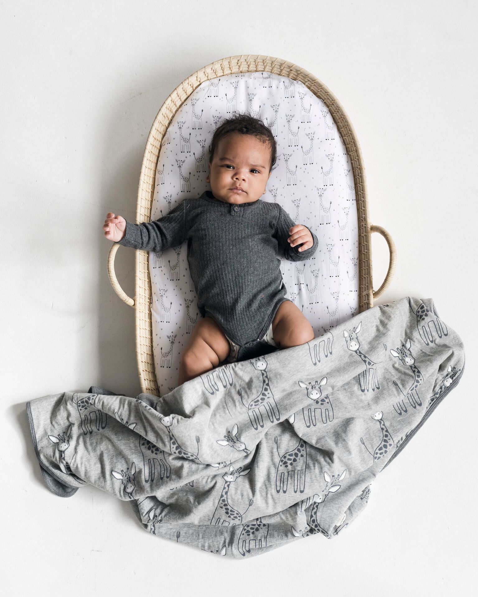 giraffe bassinet