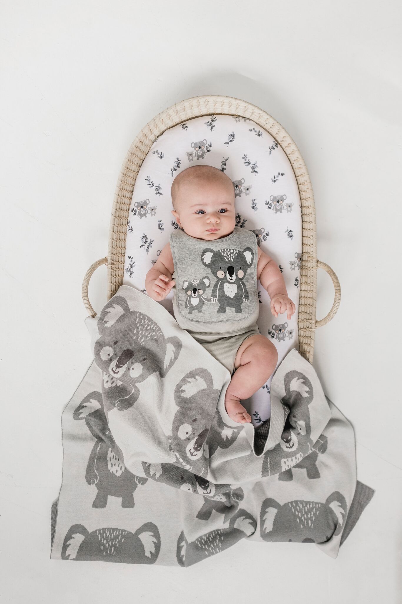 koala bassinet