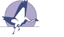 Bluecrane