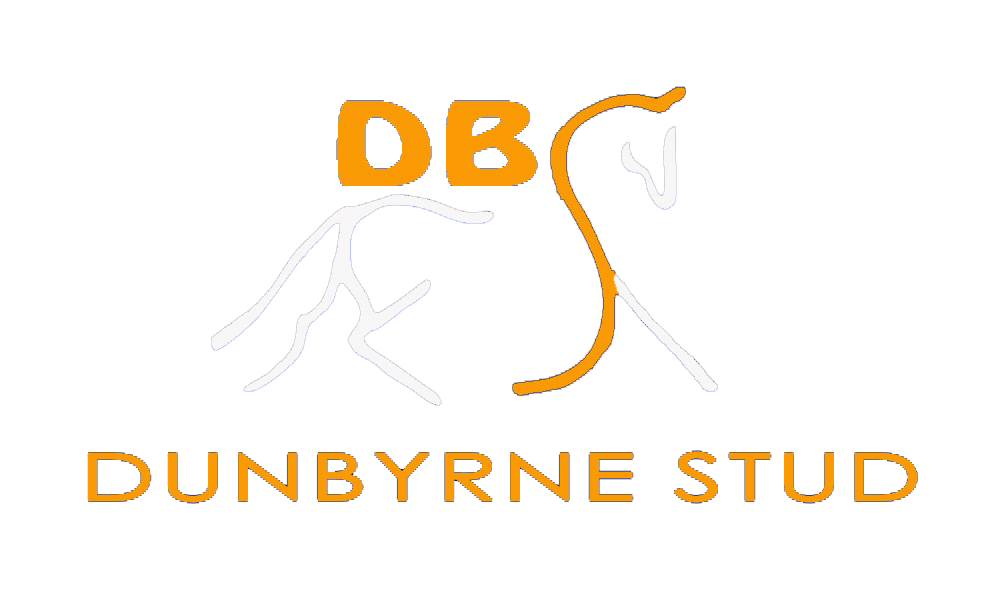 Dunbyrne Equestrian Centre