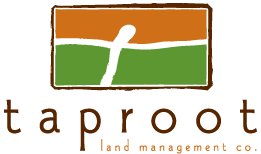 Taproot Land Mgmt Co.