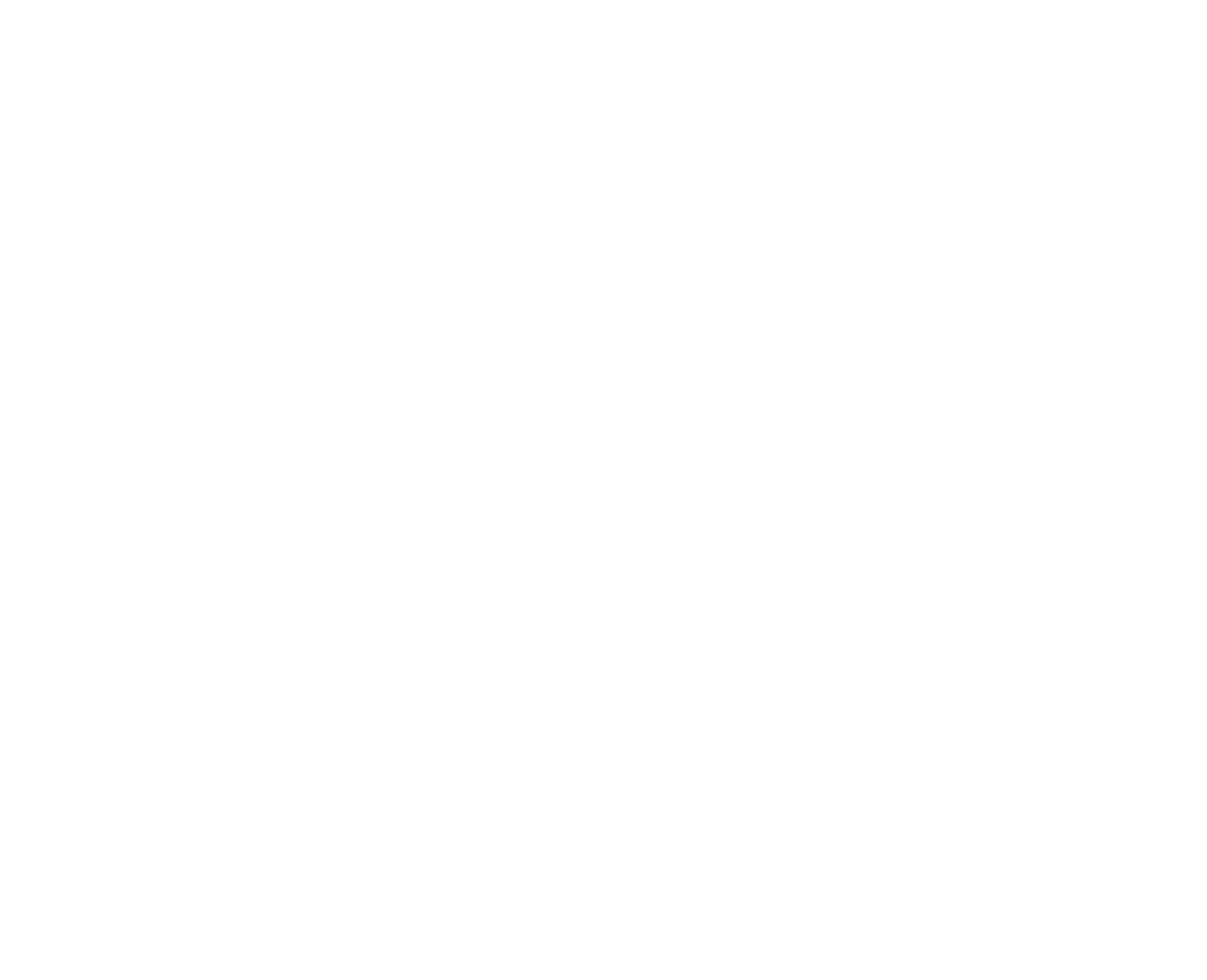lucy bags