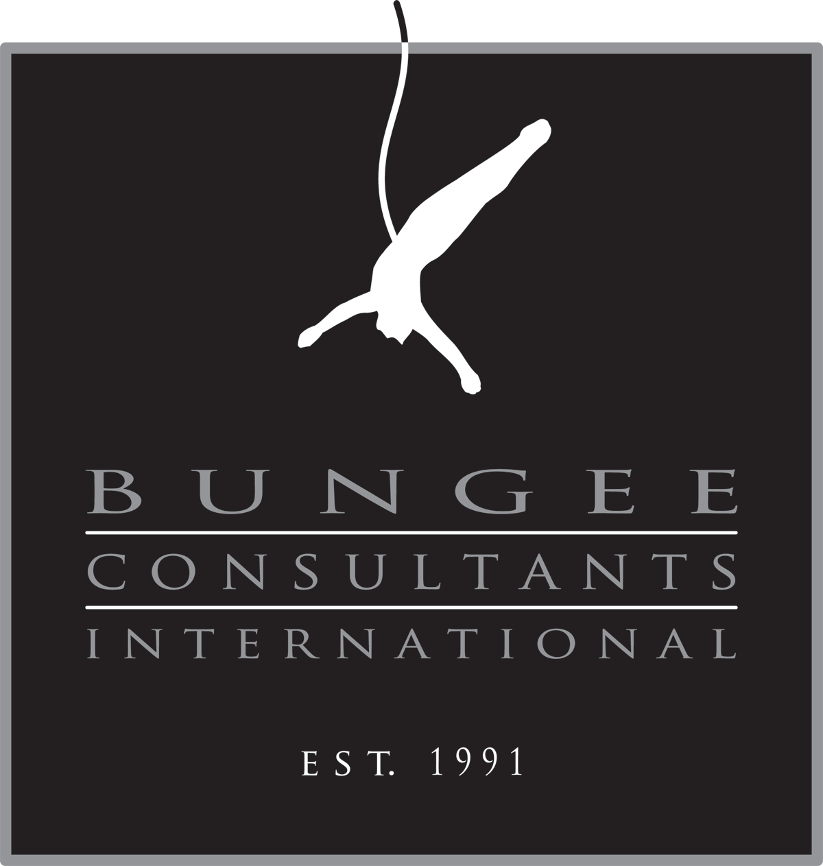 Bungee Consultants International