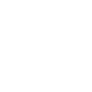 Improvidus Rex