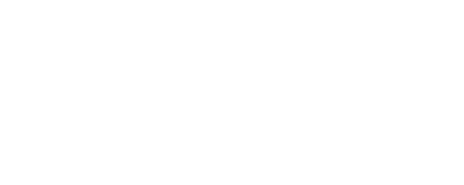 Friends of Noyes Park