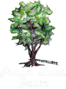 Pecan Lane Farm