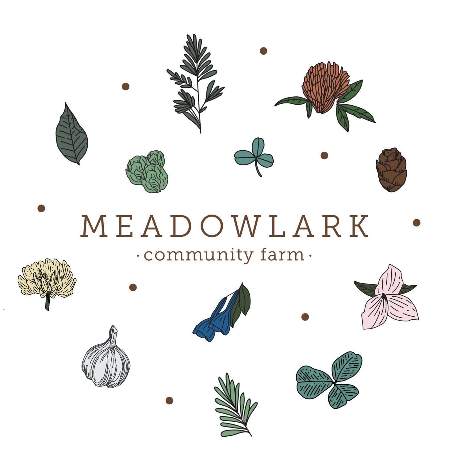 Meadowlark Community Farm