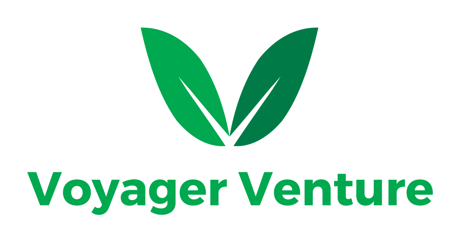 Voyager Venture