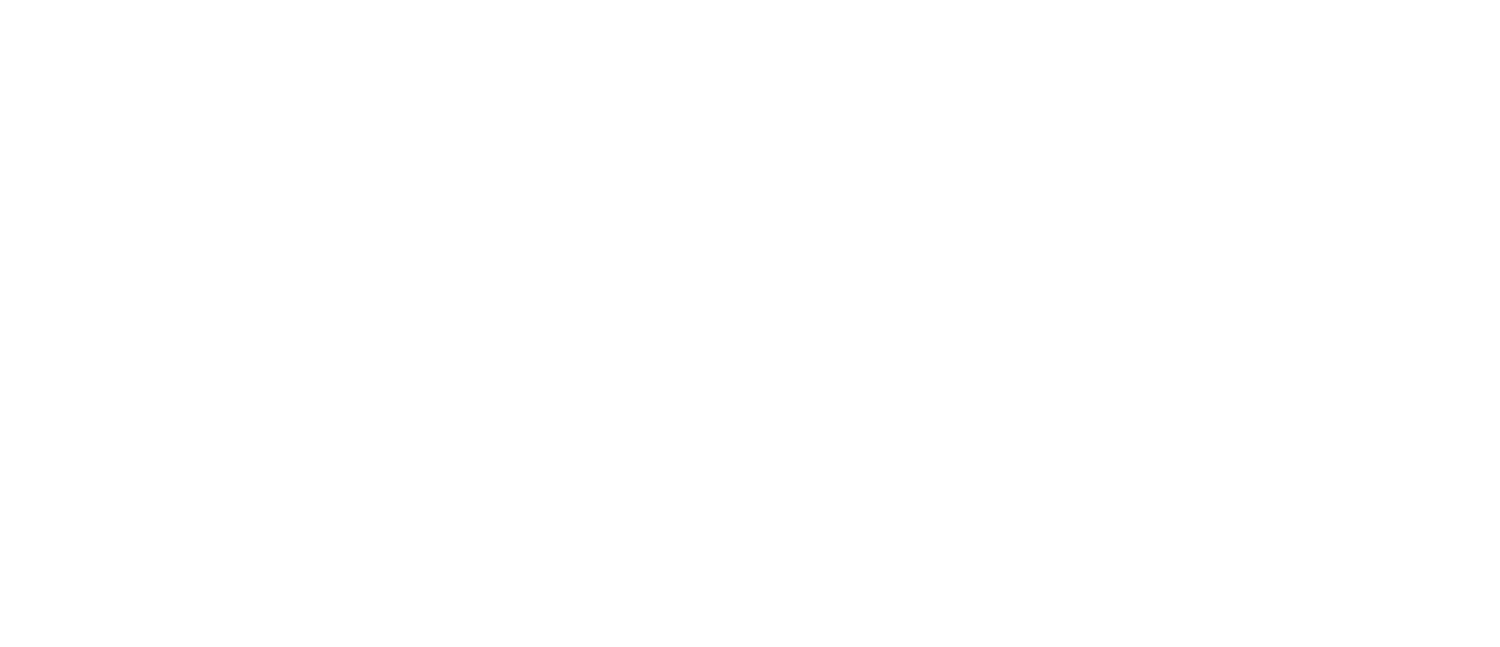Microlink PC, USA