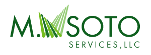 MSoto Services