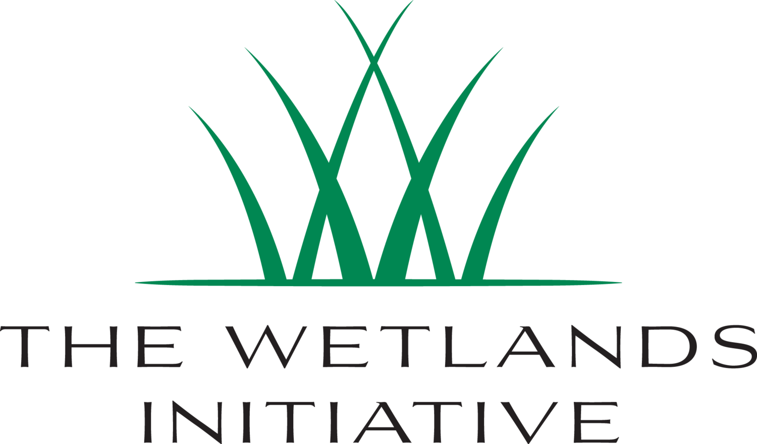 The Wetlands Initiative