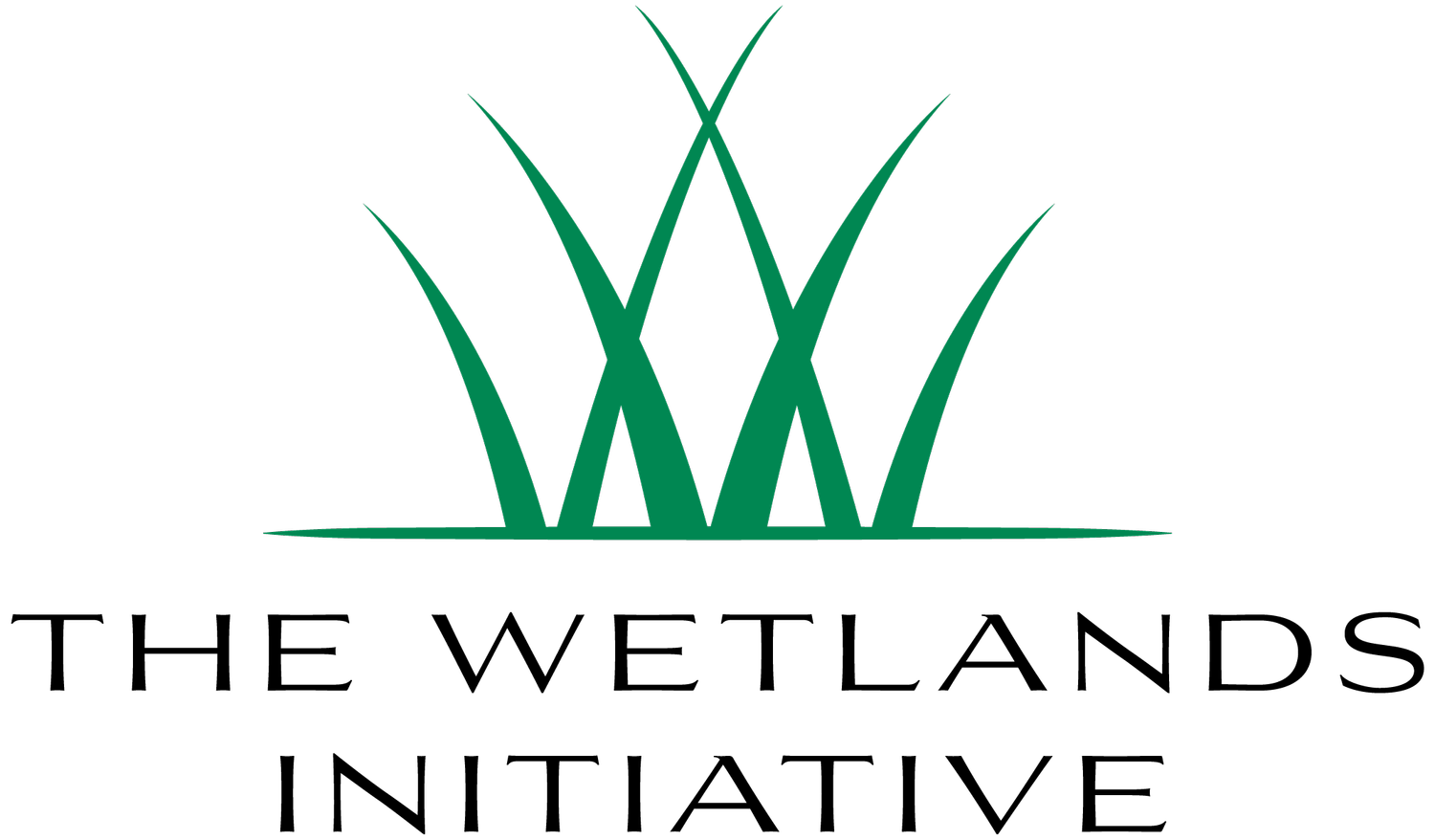 The Wetlands Initiative