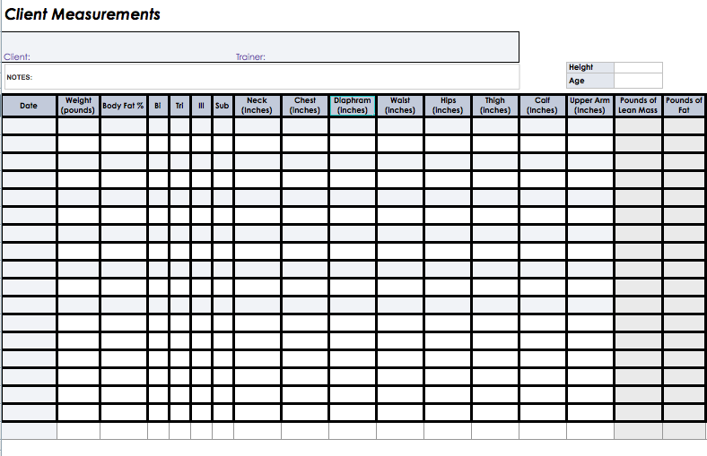 Client Measurement Sheet Charity Majors