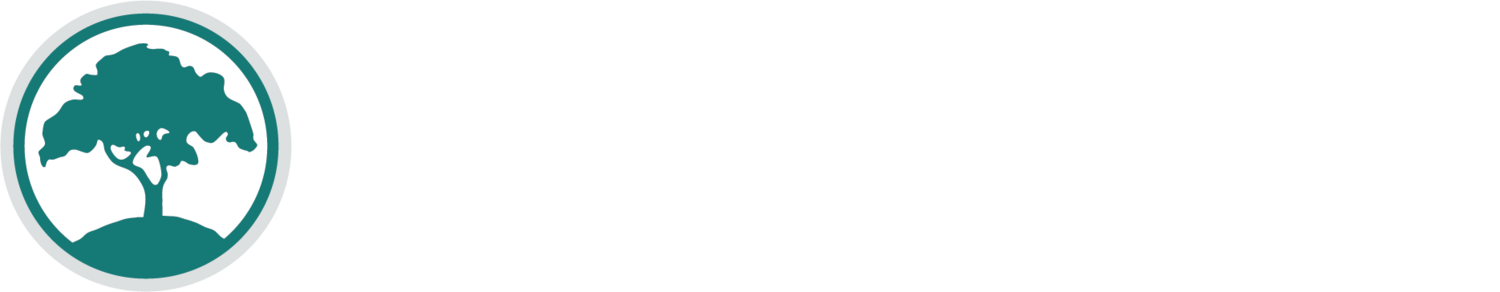 The BALSA Foundation