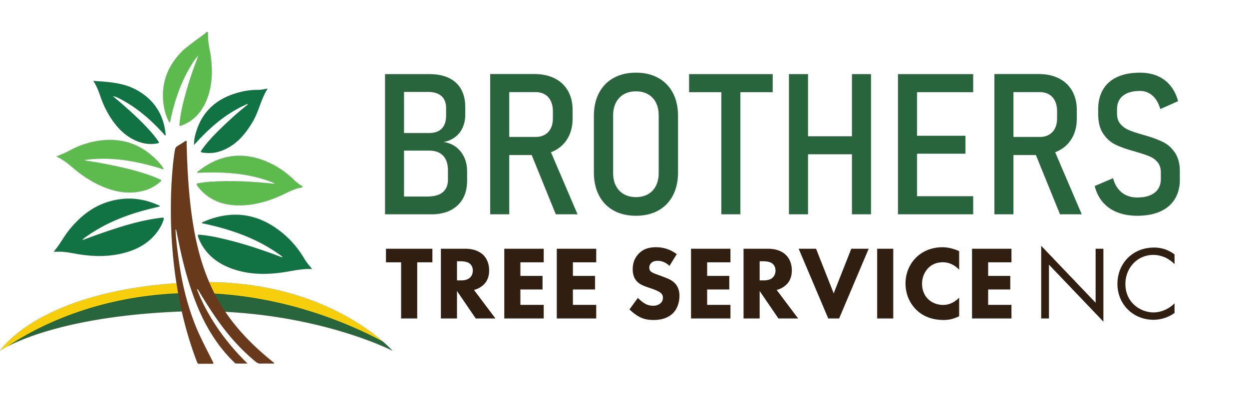 Brothers Tree service Nc
