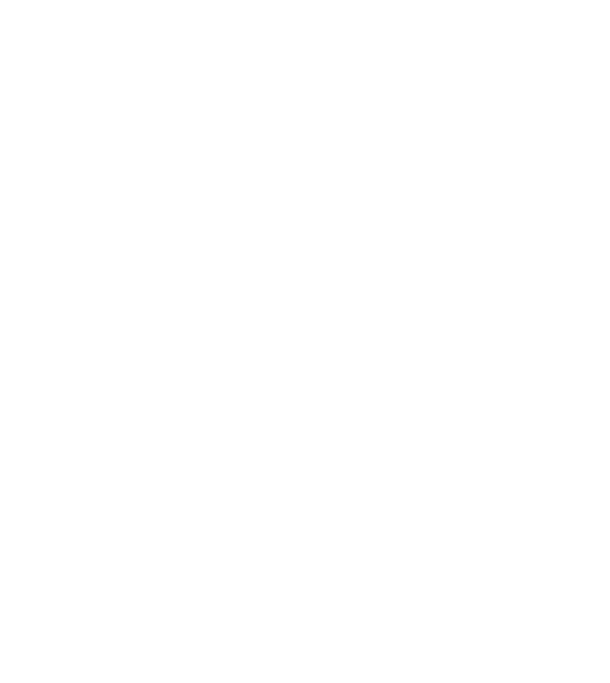 Niro Law Group