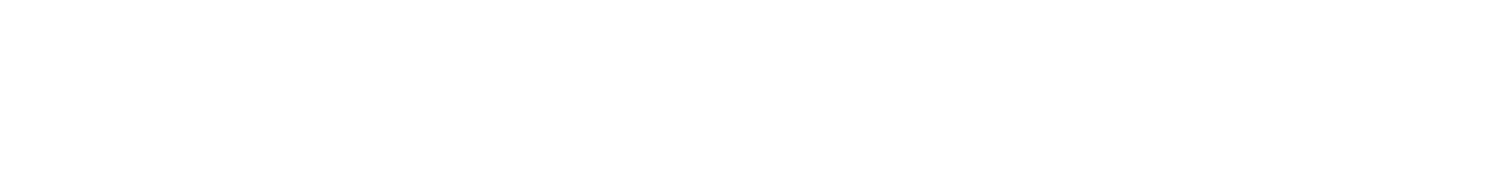 DR RICHARD BREJ
