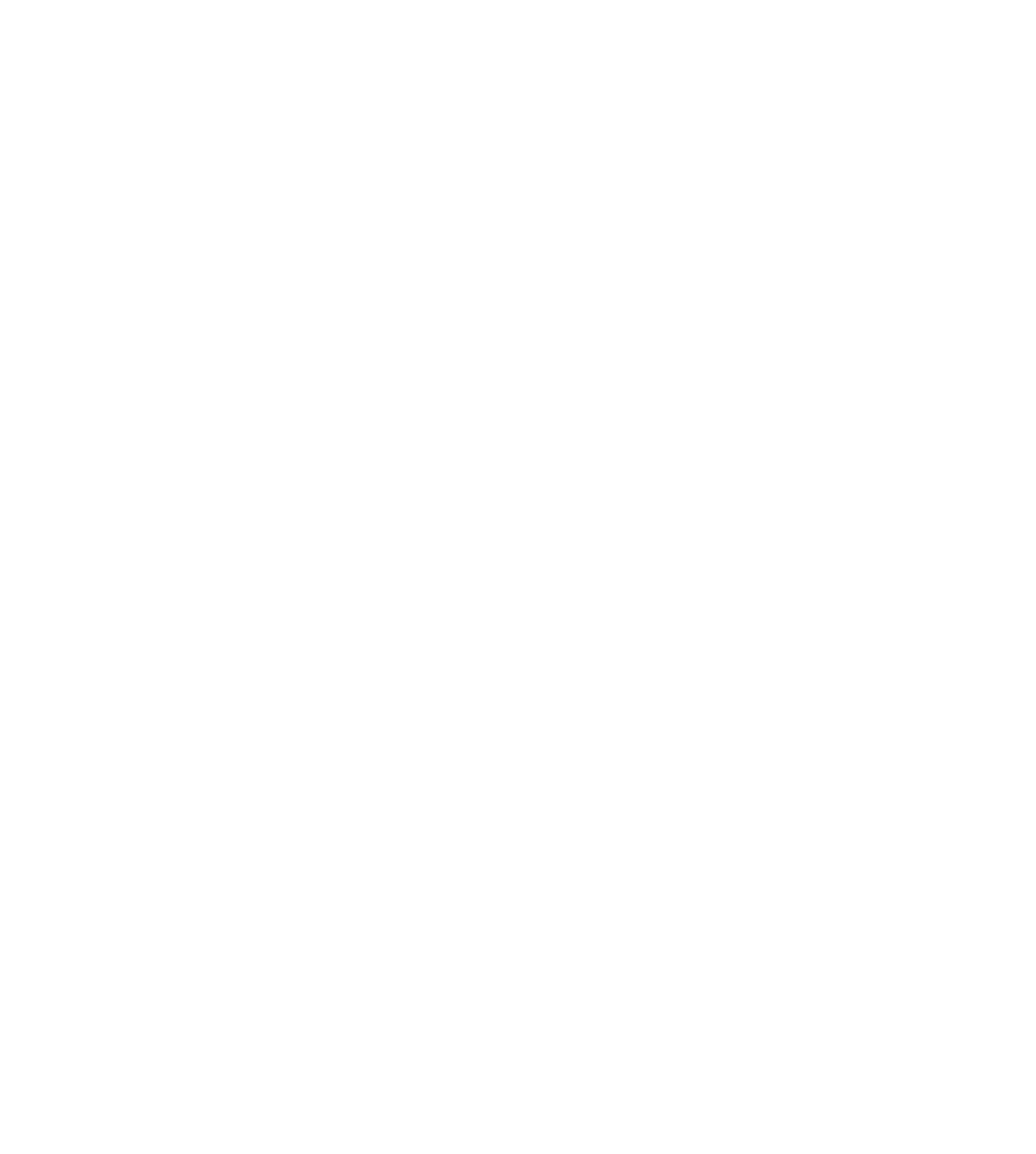 Black Platinum Illusions, LLC