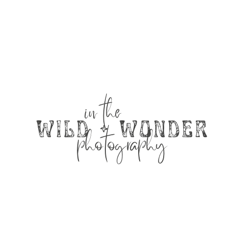 In the Wild+Wonder