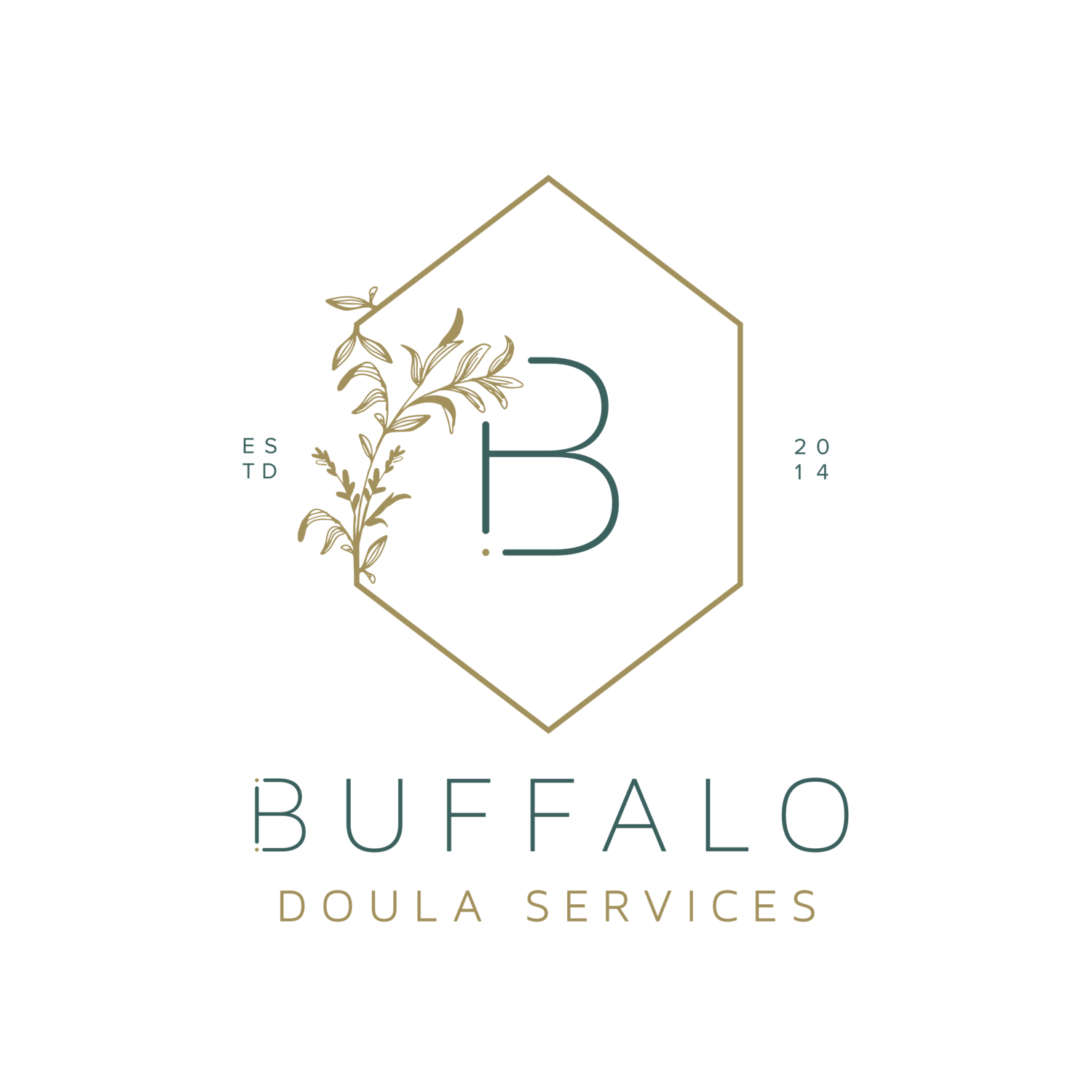 Buffalo Doula Services LLC