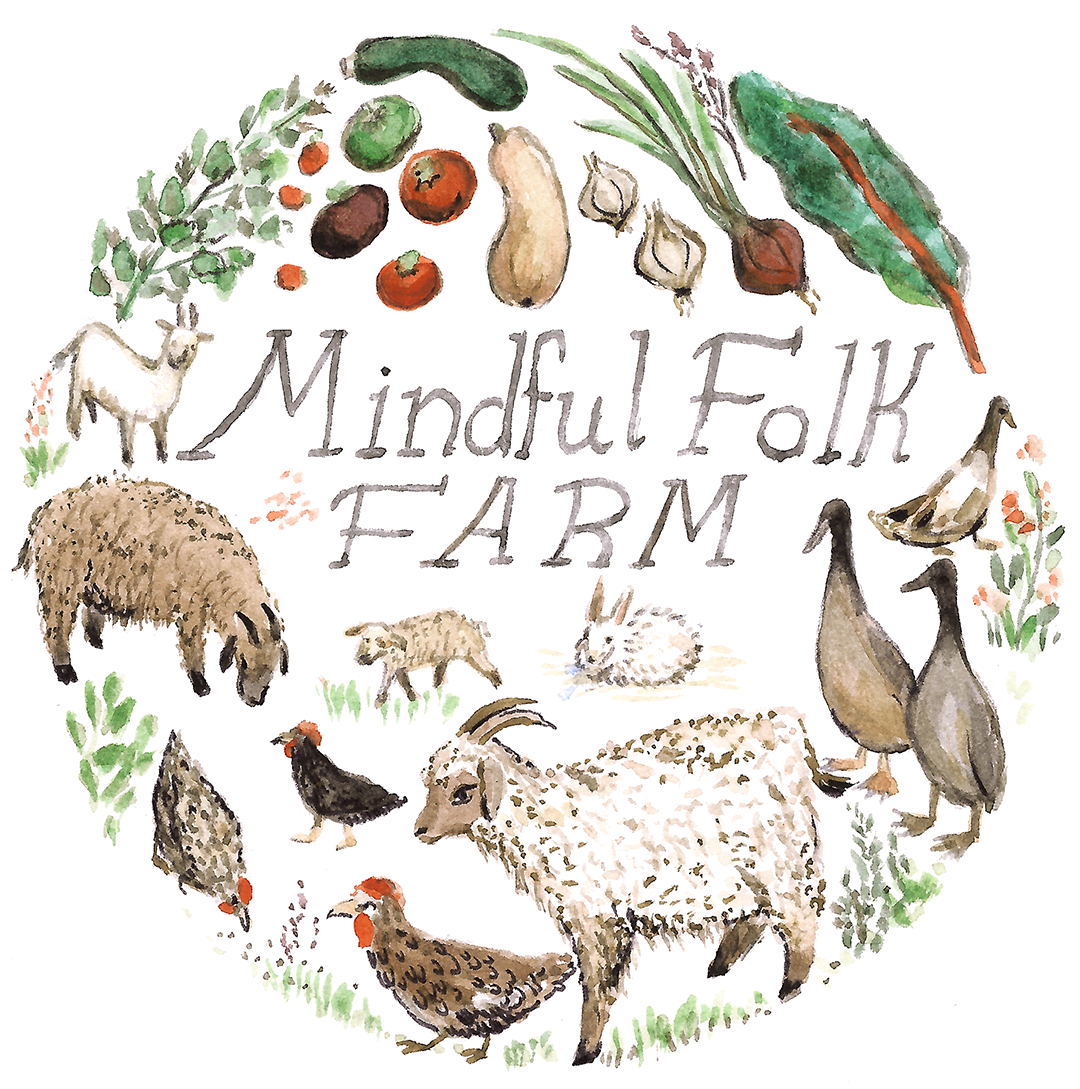 Mindful Folk