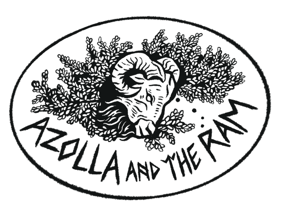 Azolla and the Ram