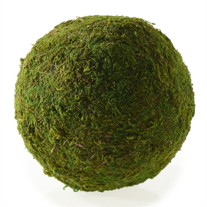 Twigs & Branches Floral - Moss Spheres