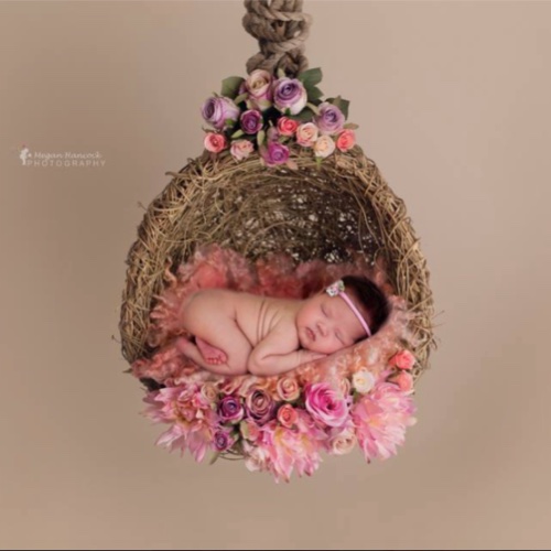 图片来源:Megan Hancock Photography