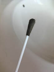 IMG-5364.jpg.