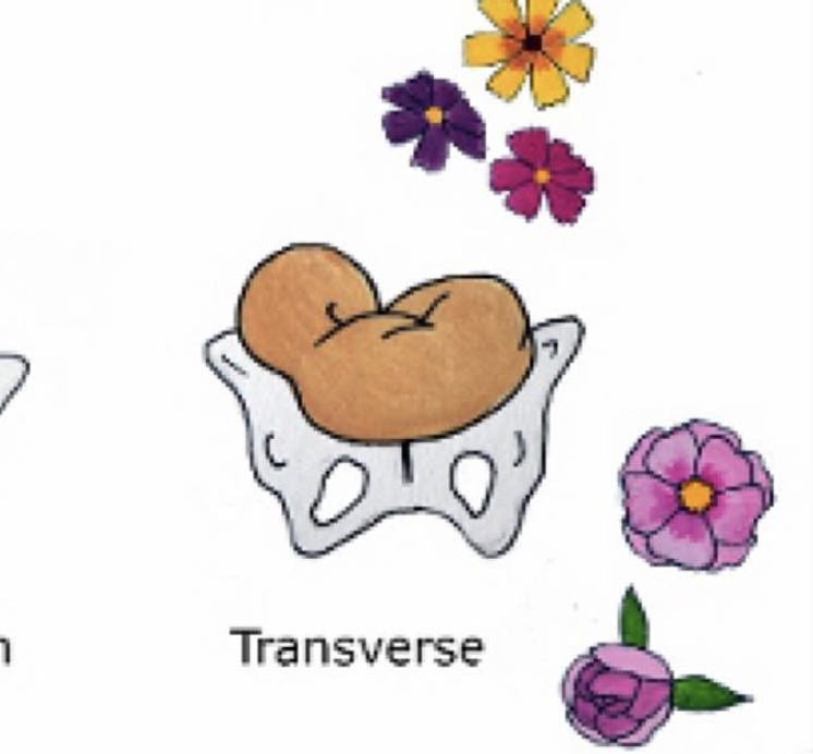 屏幕截图2019-04-19 at 5.13.20 PM.png