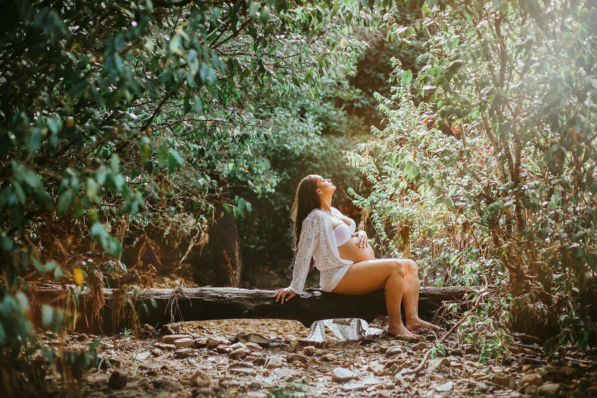 environment-expecting-forest-2168832.jpg