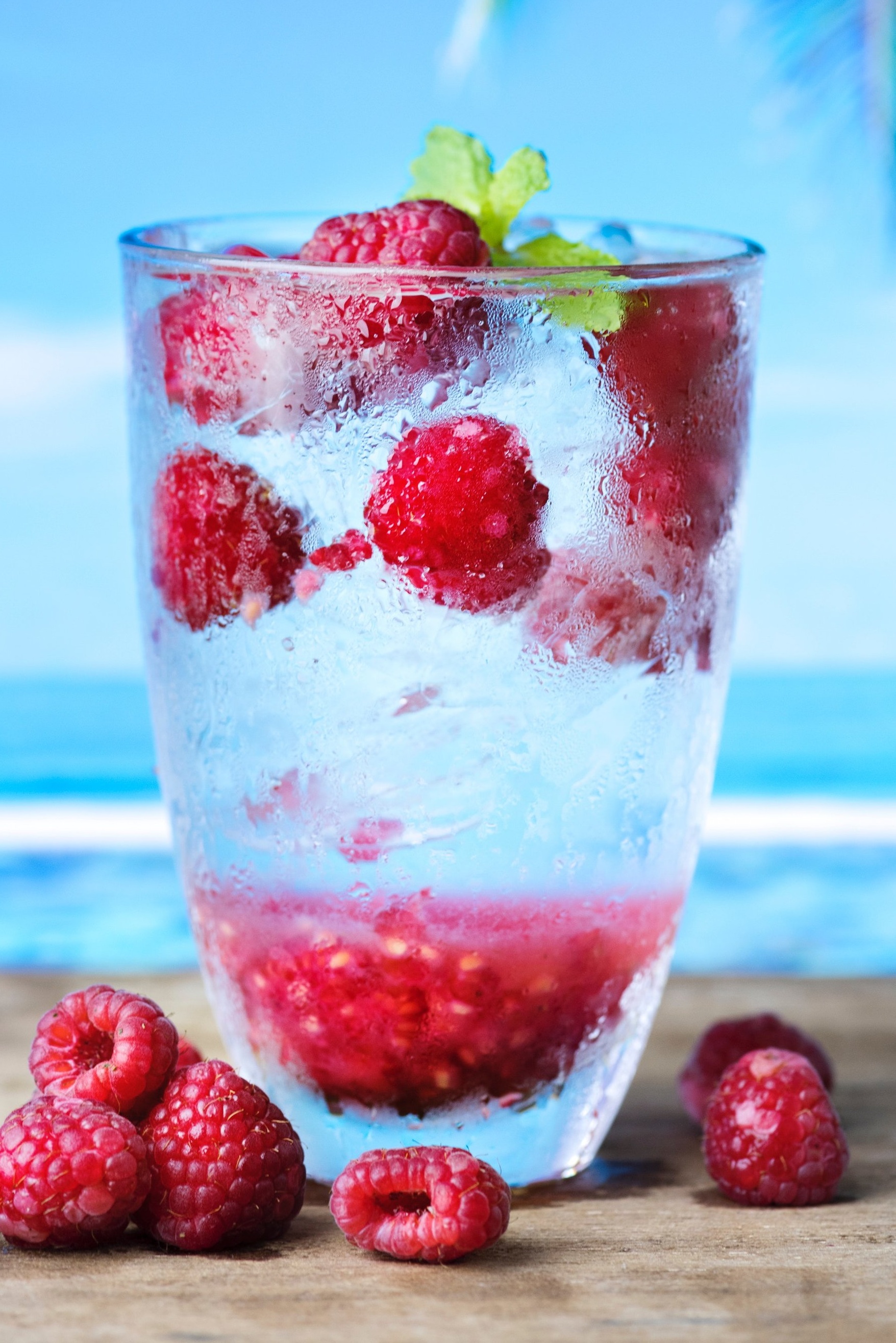 抗氧化剂-beach-berry-1229360.jpg