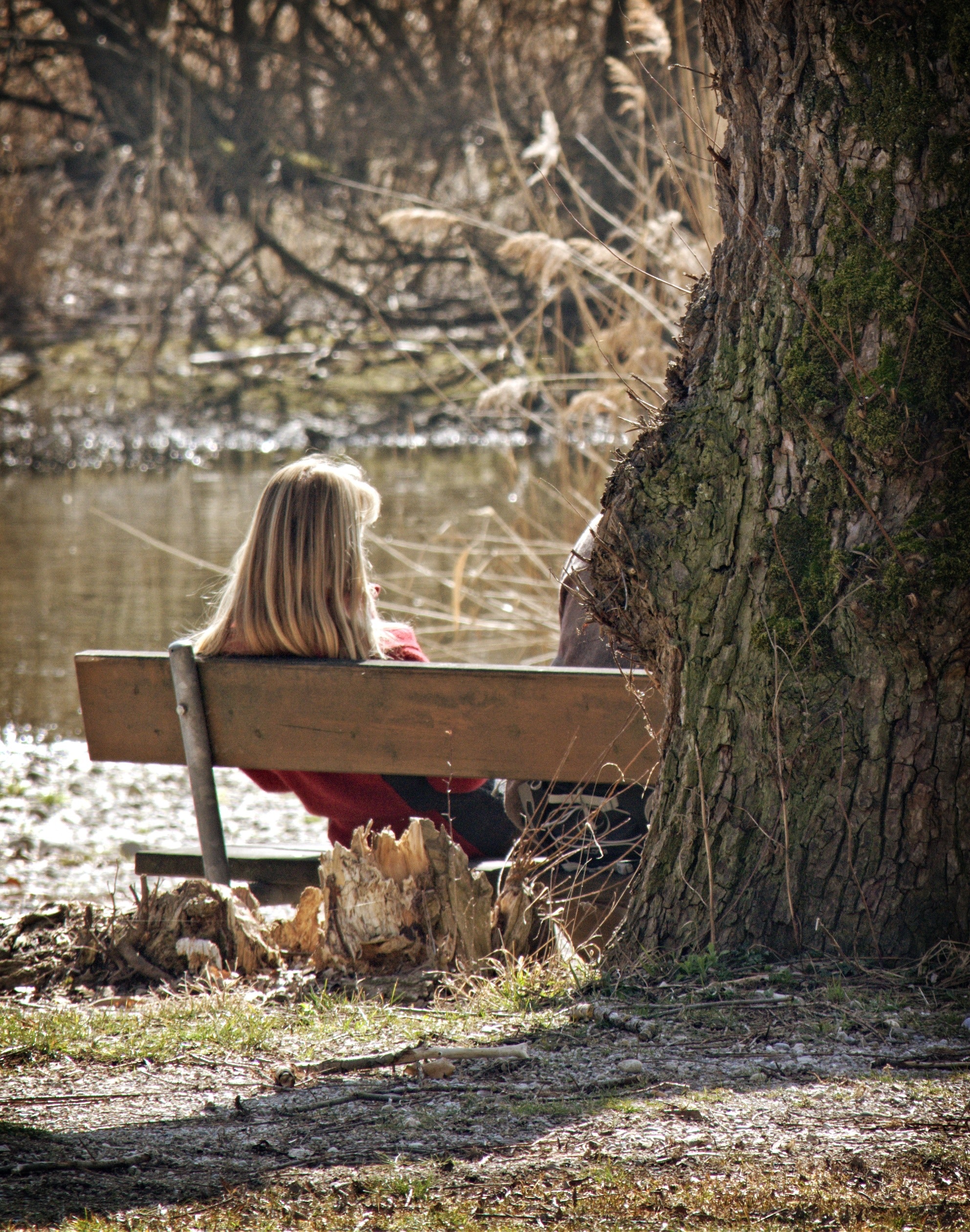 成人银行 - Bench-274845.jpg