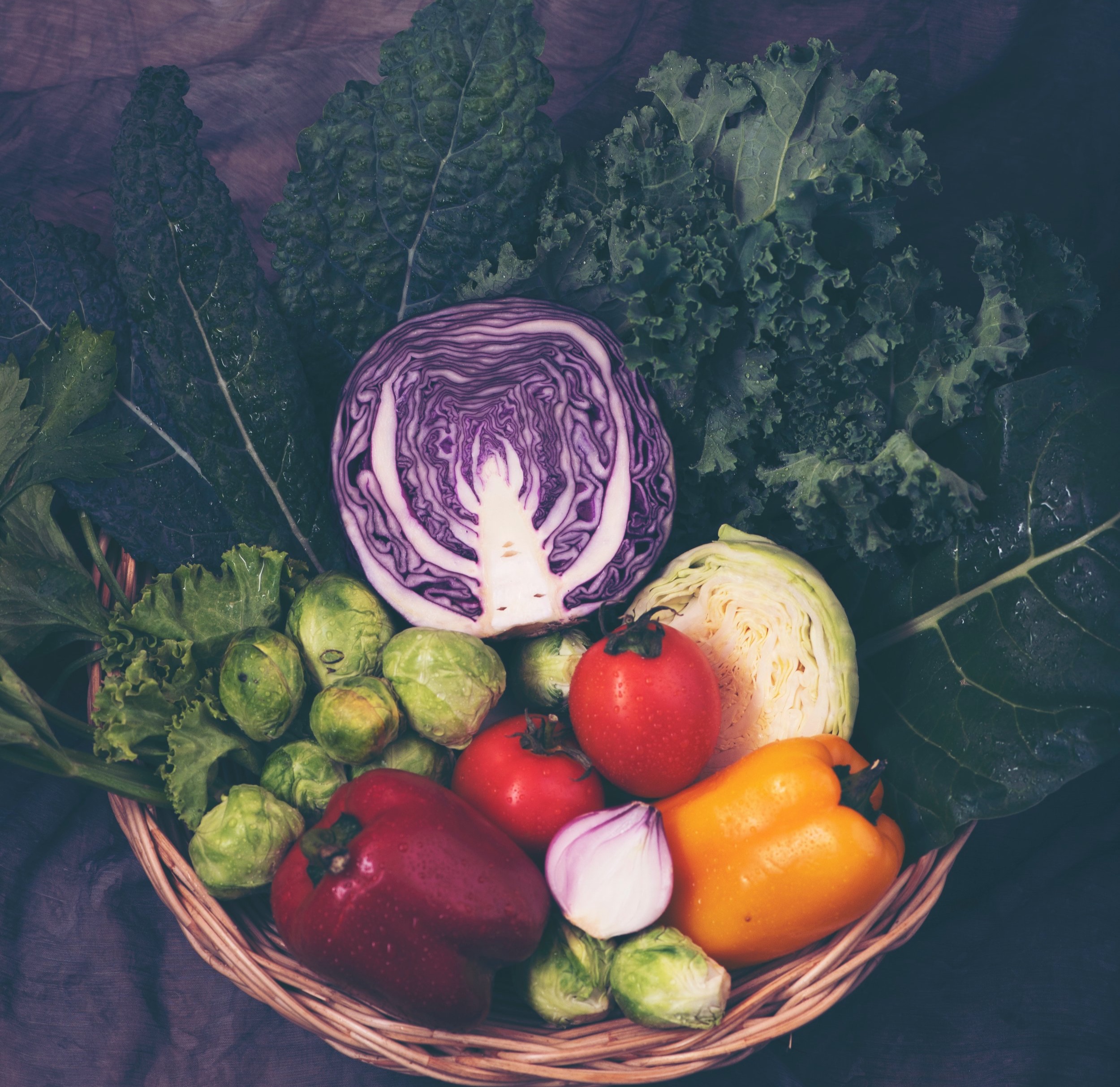 Agriculture-cabbage-color-2280569.jpg